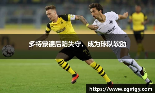 JN江南体育官方app