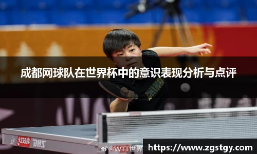 成都网球队在世界杯中的意识表现分析与点评